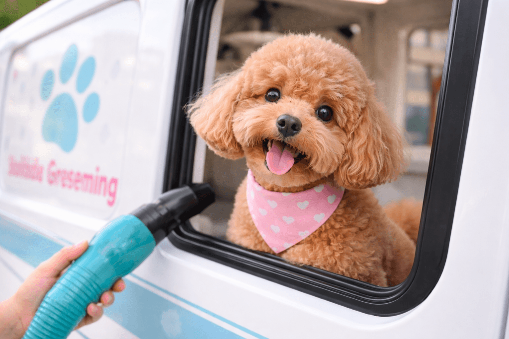 chatgpt image feb 28 2026 10 48 15 pm.png