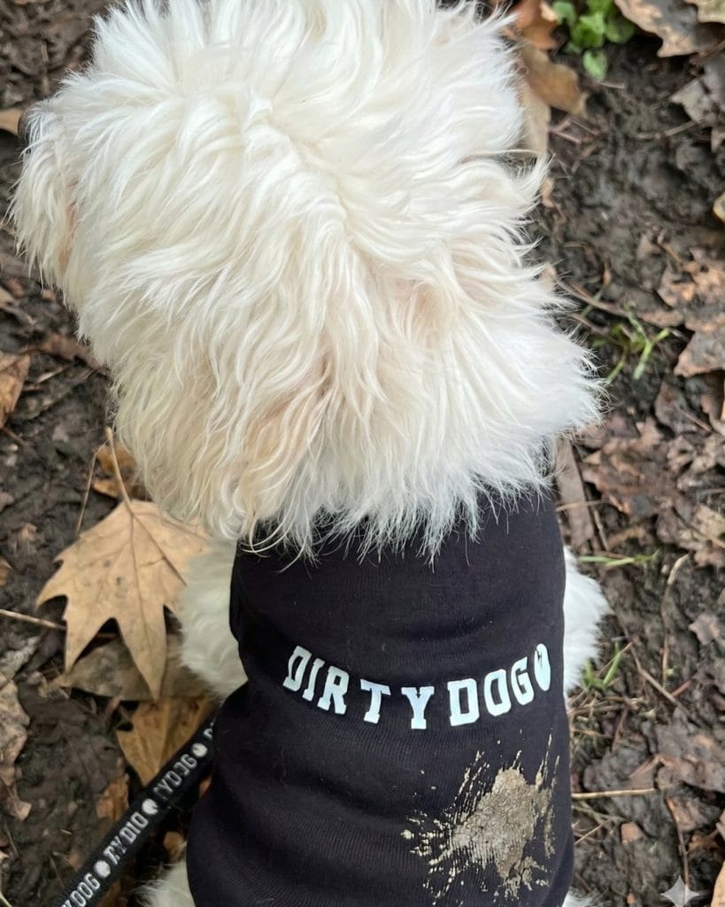 gemini generated image 4xxw954xxw954xxw 4x5 1080x1350.jpg