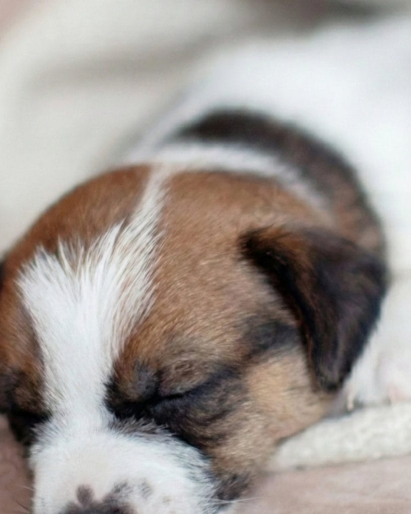 gemini generated image 9n3pqb9n3pqb9n3p 4x5 1080x1350.jpg