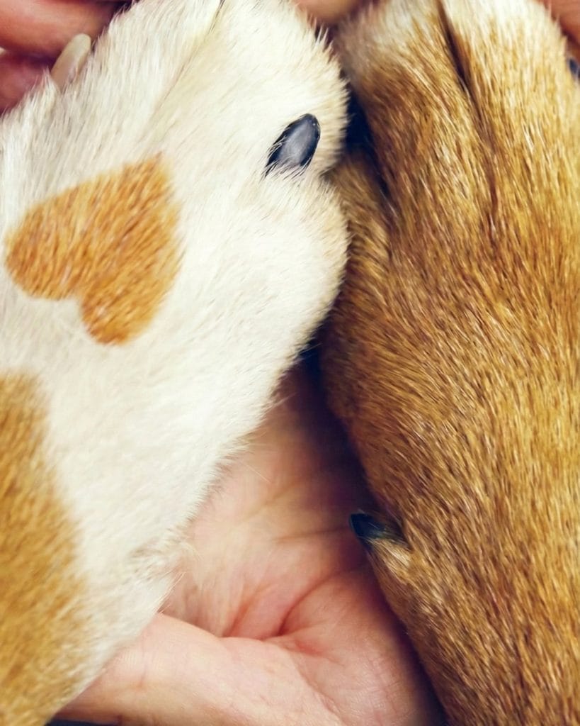 gemini generated image koc6kgkoc6kgkoc6 4x5 1080x1350.jpg