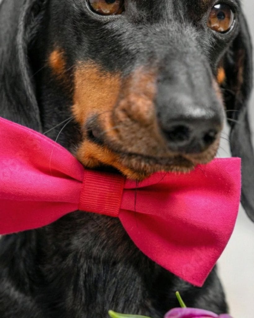 gemini generated image n7i76un7i76un7i7 4x5 1080x1350.jpg