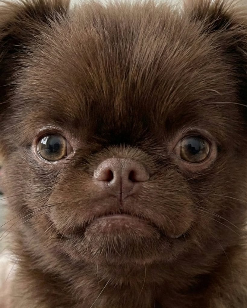 gemini generated image v2vuvsv2vuvsv2vu 4x5 1080x1350.jpg