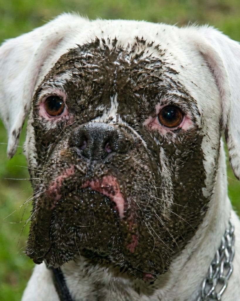 gemini generated image ycvdabycvdabycvd 4x5 1080x1350.jpg