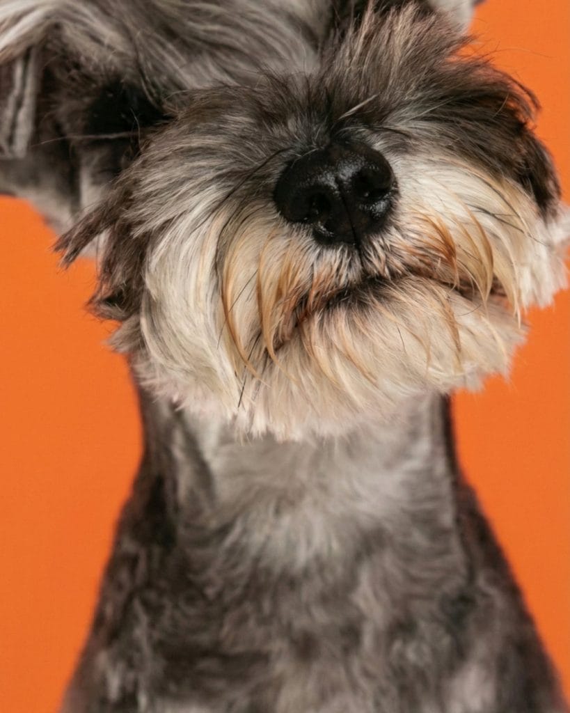 gemini generated image yuppl3yuppl3yupp 4x5 1080x1350.jpg